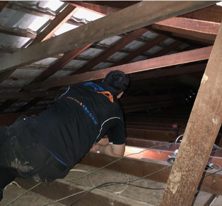 Rectangle 6496 (1) (2)